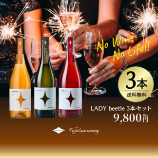 【送料無料】LADY beetle 3本セット2025